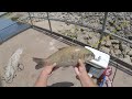 This Spillway Is Home To EVERY Freshwater Fish In Texas! (INSANE CATCH!)