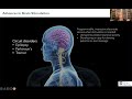 Cure One, Cure Many: Connections Between Brain Diseases | American Brain Foundation