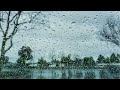 Rainy Day in the Park | Relaxing Nature Sounds |