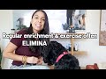 Ultimate Dog Training 🐶 STARTER GUIDE for Beginners!