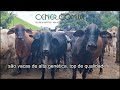 Cener Imóveis  2559 Fazenda espetacular de 214 ha por 4,5 milhões porteira fechada produzindo leite