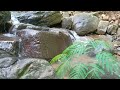Relaxing Waterfall Sound - Beautiful Nature Sounds (10 Hours) White Noise for Sleeping, Meditation