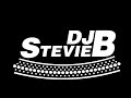 DJ Stevie B/Kaos DJs (Steve Beliveau) - 2011 Pregame Party Mix (Explicit)