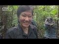 PAMARAYEG III: Photographing the Philippine Eagle | #WildlifeWednesday EP. 09
