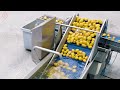 TOP Satisfying Videos Modern Food Technology Processing Machines That Are At Another Level ▶113