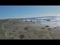 Elephant Seal Chasing