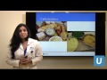 Weight Management Options for U | Vijaya Surampudi, MD | UCLAMDChat
