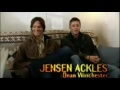 The Best of Jared & Jensen 2005-2008