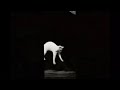 Falling Cat (1896) Short Film