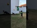 Fui mostrar meu treino para vcs 😂Mas deu ruim a bola caiu dentro de casa ⚽️