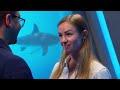 The BIGGEST Deal In Shark Tank's HISTORY! | Shark Tank AUS
