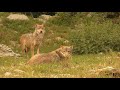 Bad Mergentheim - Urlaub im schönen Taubertal