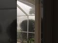 Thunderstorm Gust Front in Florida, Part 1