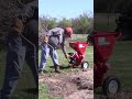Effortless Limb Cleanup: Harbor Freight Chipper in Action! 🌿🛢️ | DIY Yard Work
