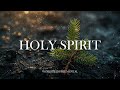 HOLY SPIRIT // INSTRUMENTAL SOAKING WORSHIP // SOAKING WORSHIP MUSIC