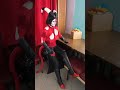 Helluva boss cosplay Адский Босс Косплей /Фестиваль Звездная Пыль/