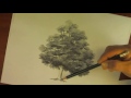 Como dibujar un árbol paso a paso, bien fácil. Bases para aprender a dibujar un arbolito clásico.