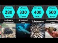 How Long Animals Live: Lifespans of Animals (Lowest to Highest)