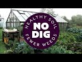 Greenhouse or polytunnel, pros and cons for propagation and growing