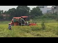 MÁY GẶT LÚA KUBOTA || Kubota rice harvester