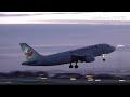 GOLDEN HOUR OPS | ARRIVALS & DEPARTURES FT. Turkish Airlines B777