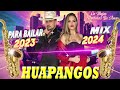 HUAPANGOS Pa BAILAR 2024 💃🏽🥰 huapangos mix 💃🏽 cumbias norteñas 2024