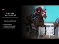 KENTUCKY DERBY 150 CONTENDER PROFILES - FOREVER YOUNG