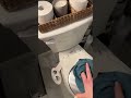 Quick bathroom touch up