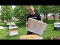 Beekeeping | Step-by-Step Guide to Adding the Next Box