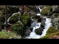 Relax, Rejuvenate, And Focus With Soothing Nature Water Sounds For Healing, Meditation, And Studying