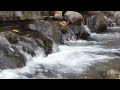 Relaxing River Sounds || water sounds for sleeping