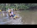 Festival belanting | Budaya dayak delang 🛶