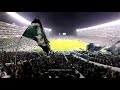 ¡SOMOS FINALISTAS! | Coros Frente Radical Verde | Deportivo Cali 2-0 Junior | Santiago Del Cali