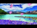 Blissful Meditation with Relaxing Music | Relaxing Piano Music | Meditation Music | Zen Music