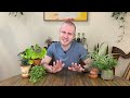 Cats + Plants – How Do I Have A Cat & Hundreds Of Plants? | Houseplant Tips & Tricks Ep. 32