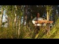 Three celtic tunes - nyckelharpa