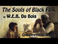 🙏🏿 THE SOULS OF BLACK FOLK by W.E.B. Du Bois - FULL AudioBook 🎧📖  | Greatest🌟AudioBooks