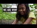What Does WWF Do? | Discover How We Support our World | WWF