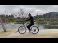 The CHEAPEST Torque Sensor Ebike that's Actually Good! HeyBike Sola Review