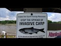 Carp jumping high enough to get in the boat!