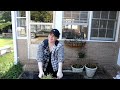 Repotting My Cactus & Digging Up Free Prickly Pear Cactus