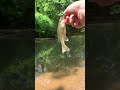 Fishing at creek #2