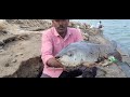 Amazing Fishing 🎣🐬 10.Kg.4.500.Kg BiG Size Rohu Fishes to Catching in Single Hook Hunting