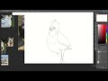 DIBUJANDO ANIMALES | Sesion de Estudio en Discord | Estudiando Dibujar de Animales