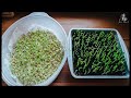 #35 Grow Vegetables Indoors: Microgreens & Sprouts - From Seed to Harvest