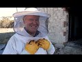 Kitchen Cupboard Surprise: The Wild Bee Rescue Adventure | The Bush Bee Man