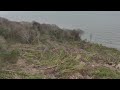 Bonchurch Landslip Before and after overlay