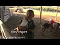 Raw milk: Idaho ranchers on why not to pasteurize