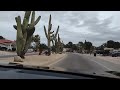 old cactus, green valley az