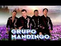 Grupo Mandingo ❤️✨ Exitos Sus Mejores Canciones De Grupo Mandingo ❤️✨Mix Romanticas 2024 #romantic